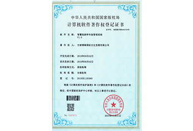 �ǻ�����ͣ܇(ch��)����ϵ�y(t��ng)V1.0